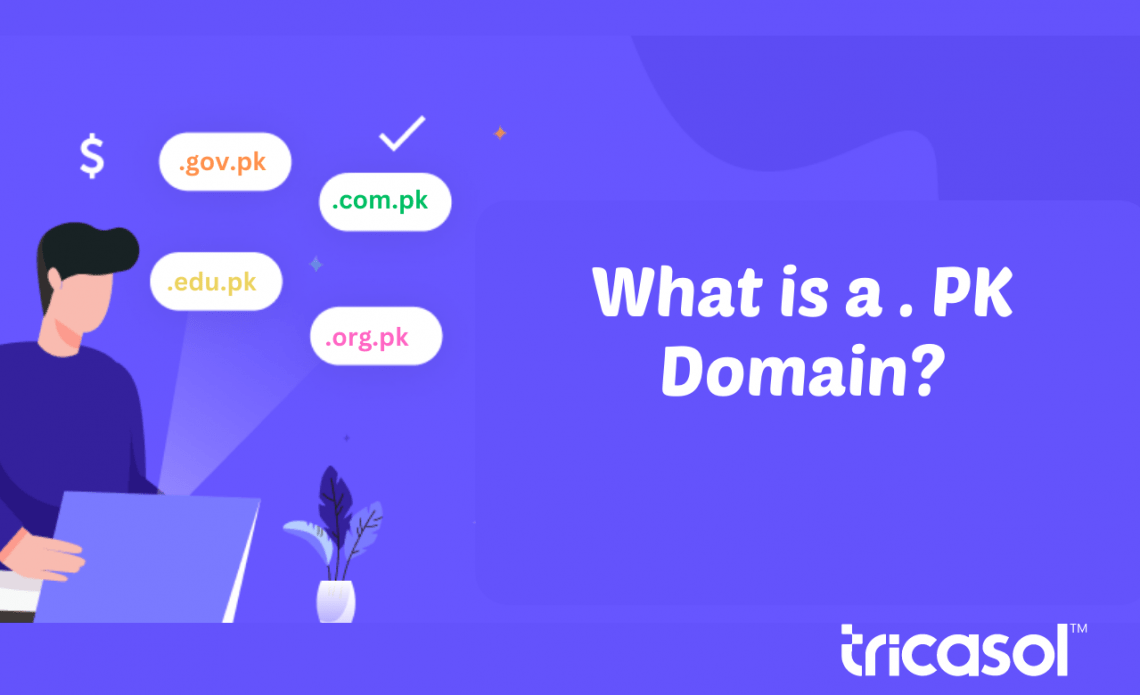 Why Register a .PK Domain for Business? | Tricasol