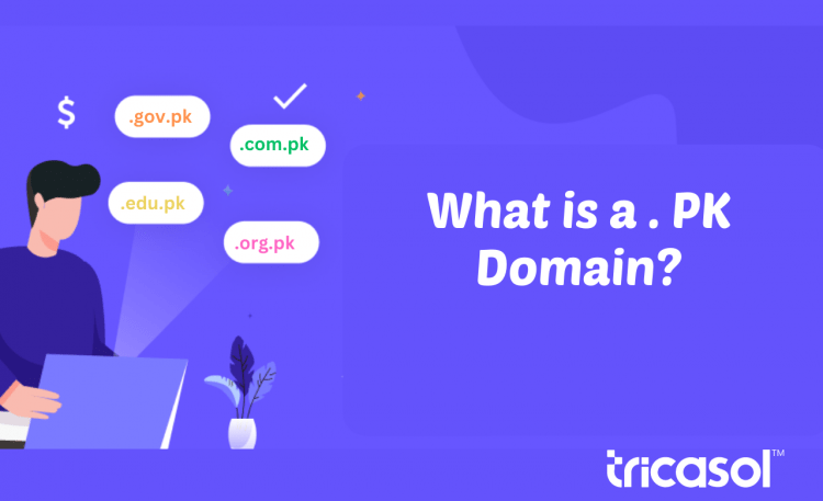 Pk Domain Why You Should Register a PK Domain