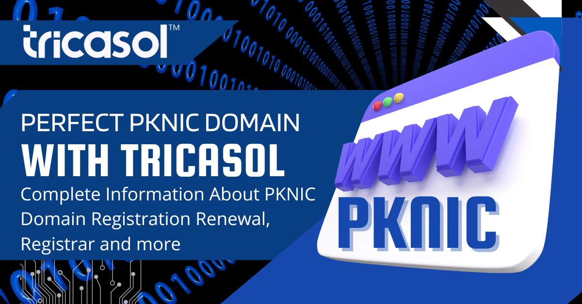 Best PKNIC Domain