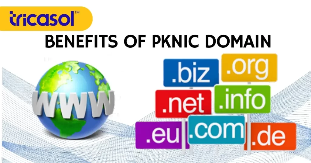 PKNIC Domains