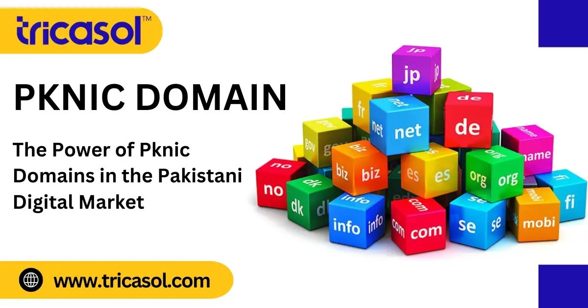 PKNIC Domains