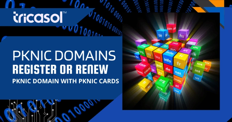 PKNIC Domains