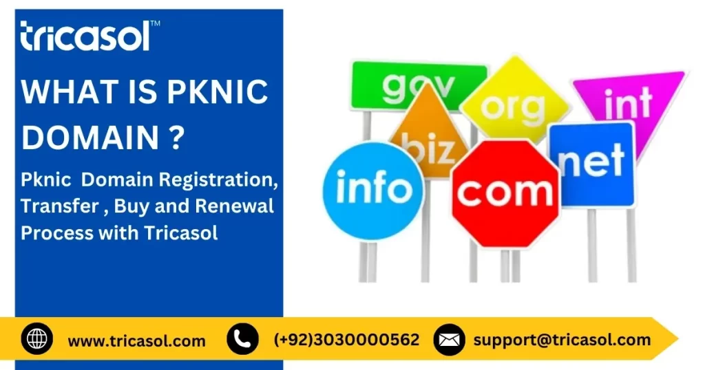 PKNIC Domains