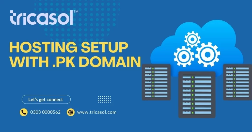 .pk domain