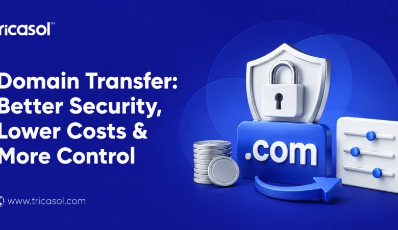 What Are the Pros of Domain Transfer That Make It Worth the Short-Term Hassle?