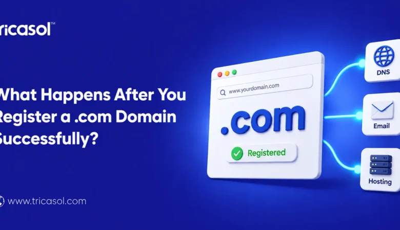 What Happens After You Register .Com Domain Successfully?