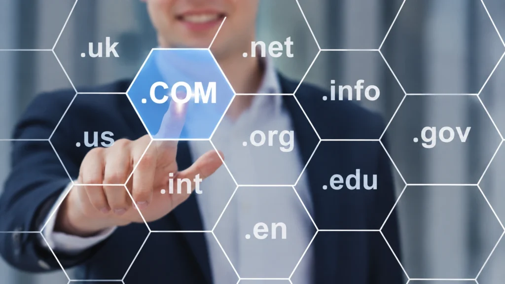 Domain Registration Services