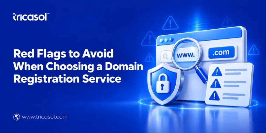 Domain Registration Service